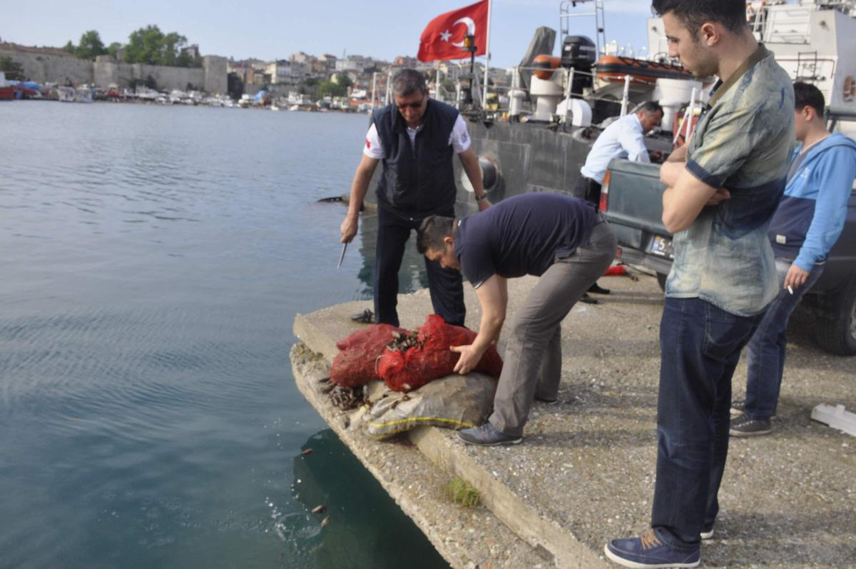 Sinop\'ta Su Ürünleri Denetimleri