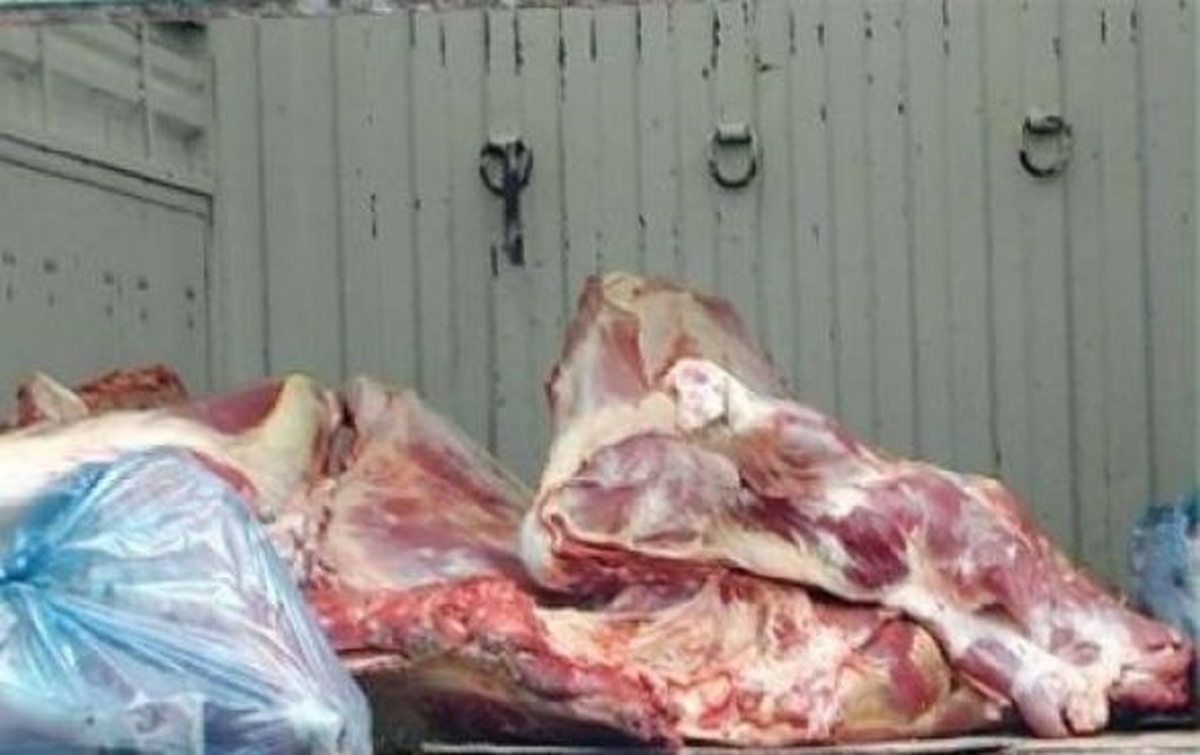 Şırnak\'ta Sağlıksız Şartlarda Taşınan 9 Ton Et İmha Edildi