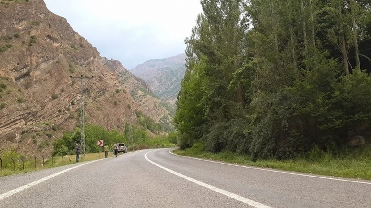 Hakkari\'de Tehlike Saçan Kavak Ağacı Kaldırıldı