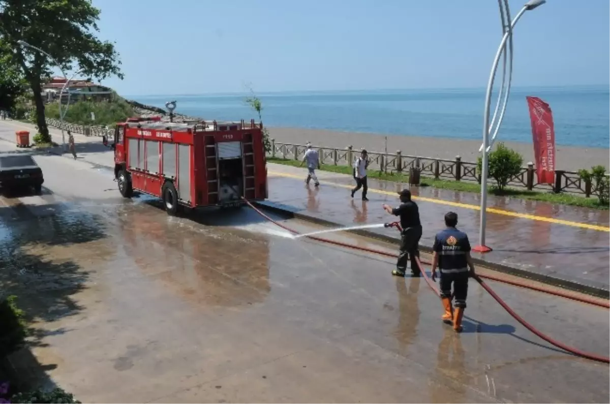 Akçakoca İtfaiyesinden Yaz Temizliği