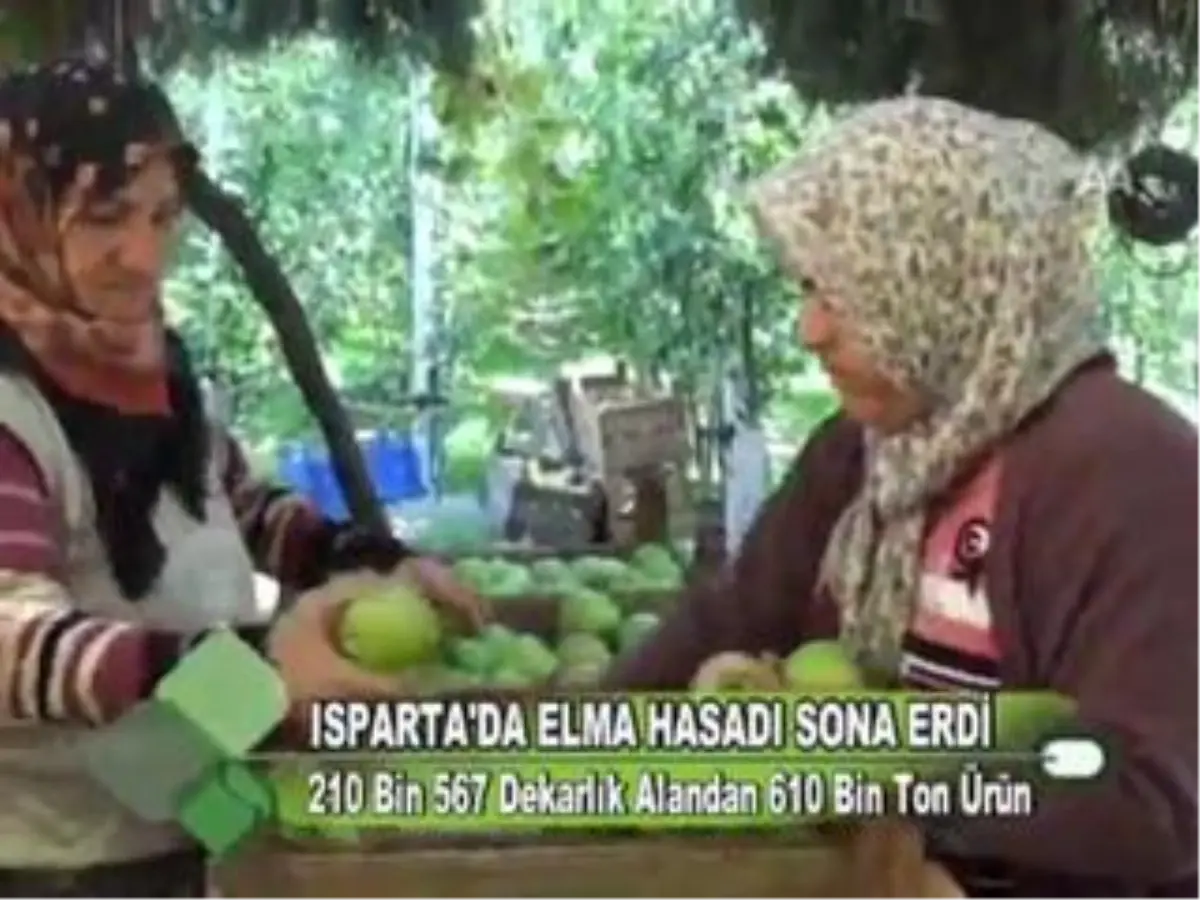 Isparta\'da Elma Hasadı Sona Erdi 01.11.2011