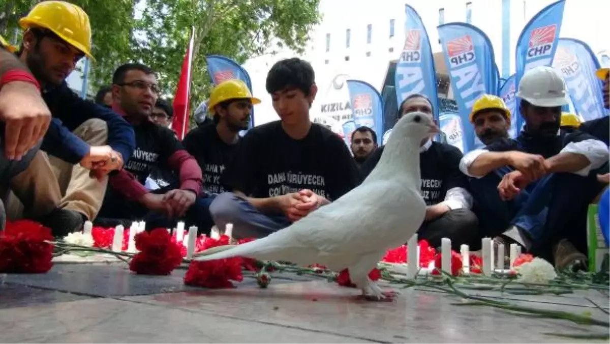 Sarısülük\'ün Hayatını Kaybettigi Yere Karanfil Bırakıp, Beyaz Güvercin Uçurdular