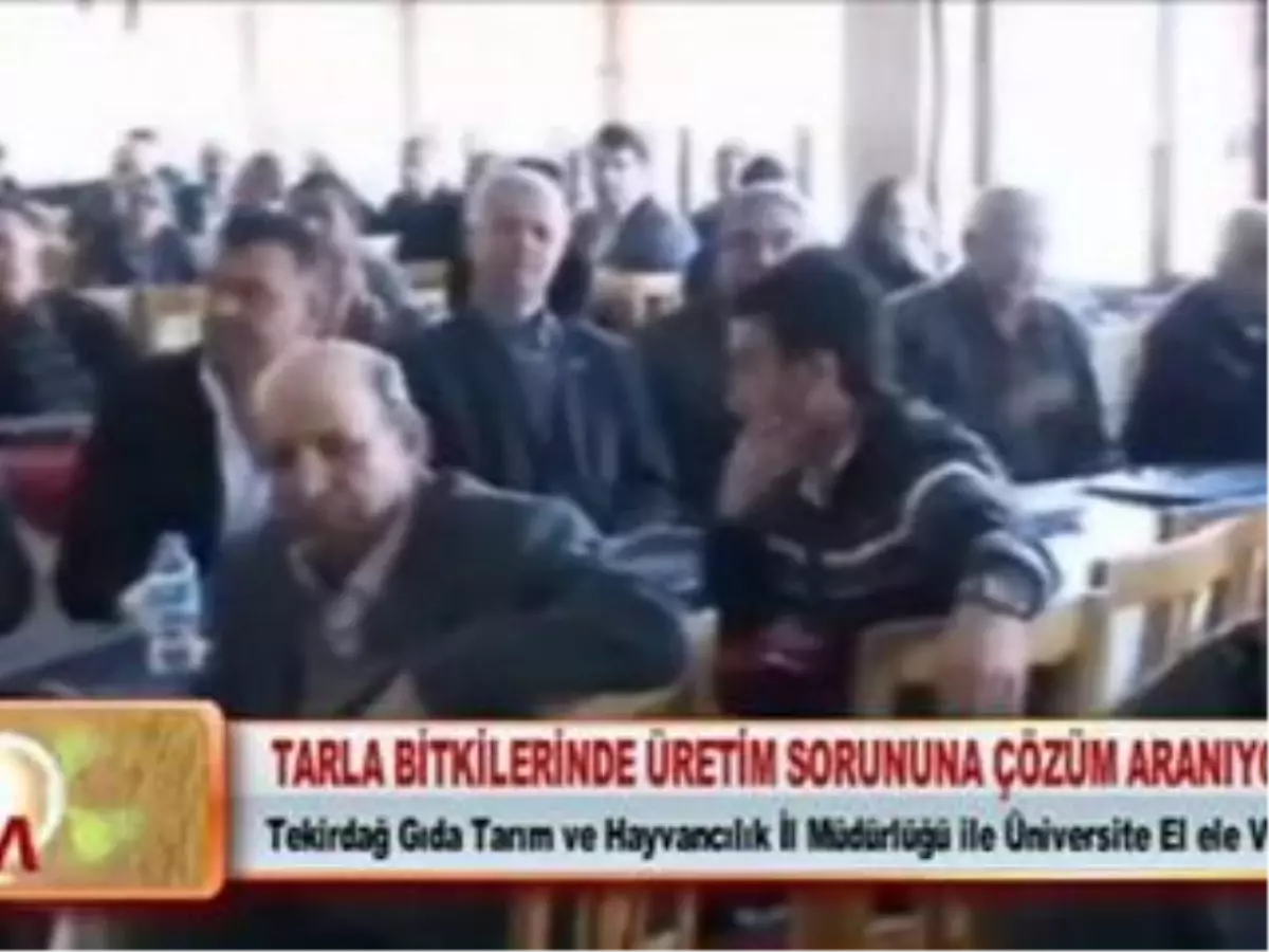 Tarla Bitkilerinde Üretim Sorununa Çözüm Aranıyor 11.04.2012