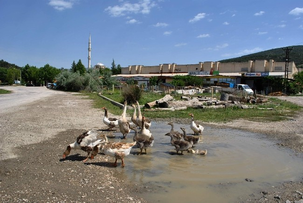 Tavuk Çiftliği Gibi Sanayi Sitesi