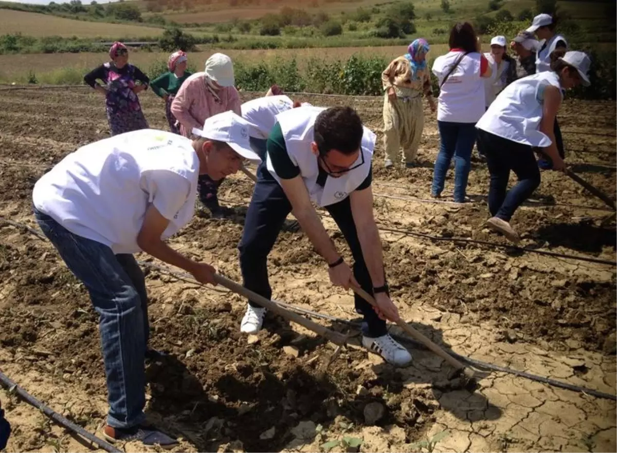 Tekirdağ\'da "Gençlerin İyilik Ağacı" Projesi