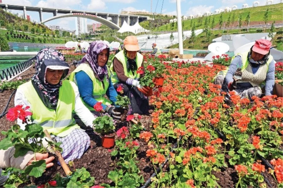 Ankara Çiçeklerle Bir Başka Güzel