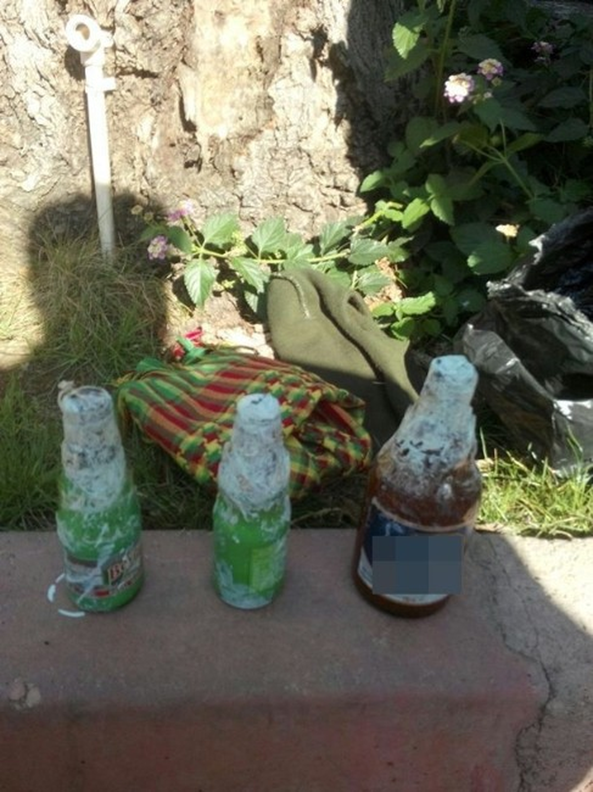 Adana\'da 15 Yaşındaki Çocuk Molotofla Yakalandı