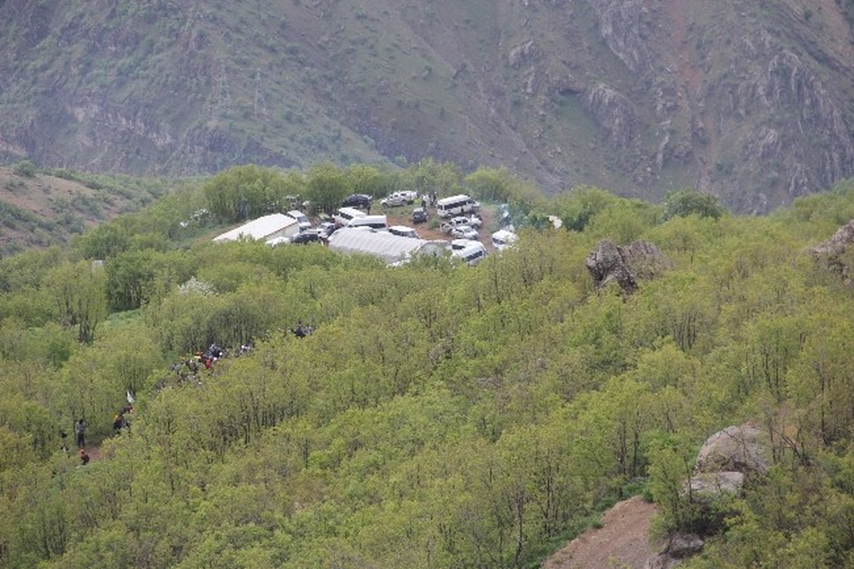 Akrebin Soktuğu Şahıs Hastaneye Kaldırıldı