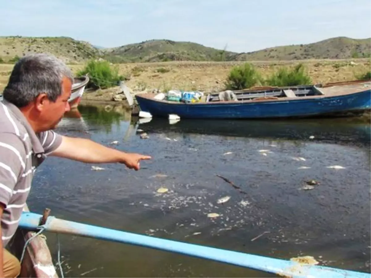 Bafa Gölünde İnceleme
