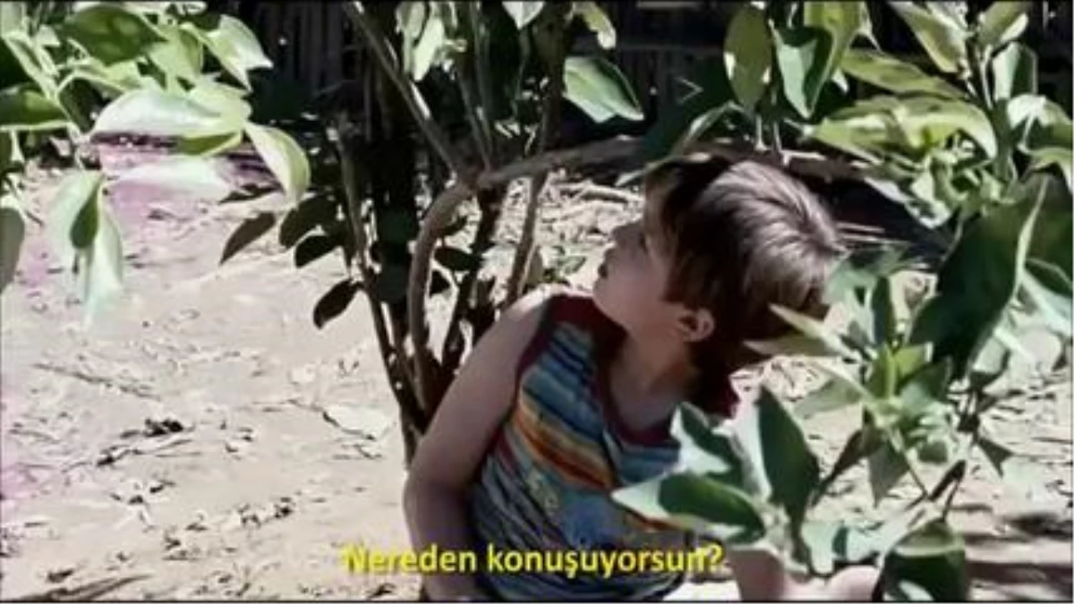 Şeker Portakalı / Meu Pé de Laranja Lima - Türkçe Altyazılı Fragman