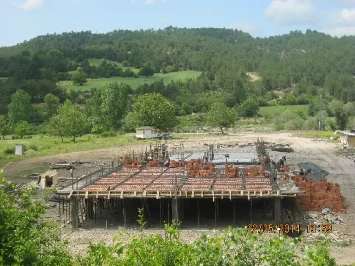 Kastamonu\'da Tavukçuluk Sektörü Gelişiyor