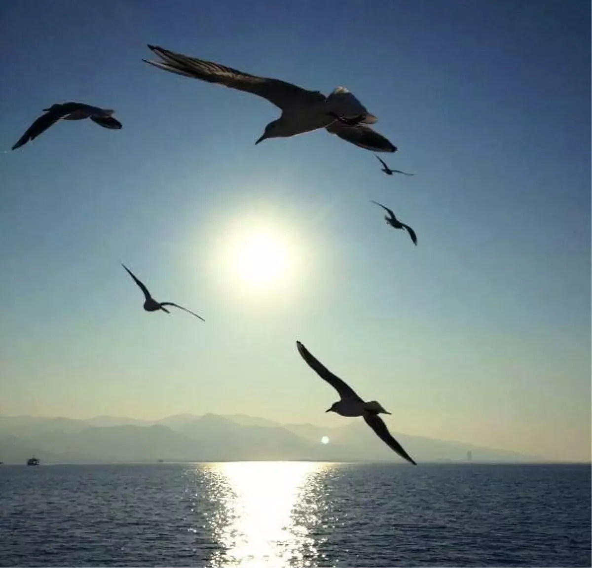 Hayattan Kareler" Konulu Fotoğraf Yarışması Sonuçlandı