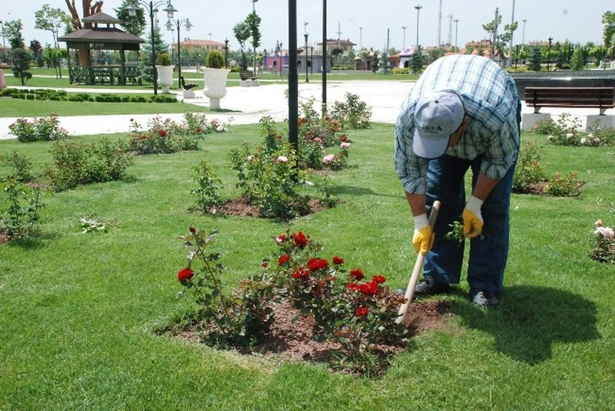 Karatay\'ın Parklarını Mevsimlik Çiçekler Süslüyor