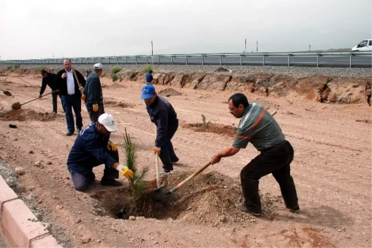 5 Haziran Dünya Çevre Gününde Ağaçlandırma Çalışmaları Devam Ediyor