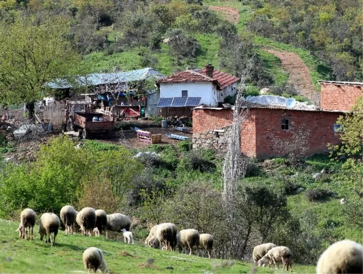 Aydınlı Üretici Yüzde 50\'lik Hibe ile Aydınlandı