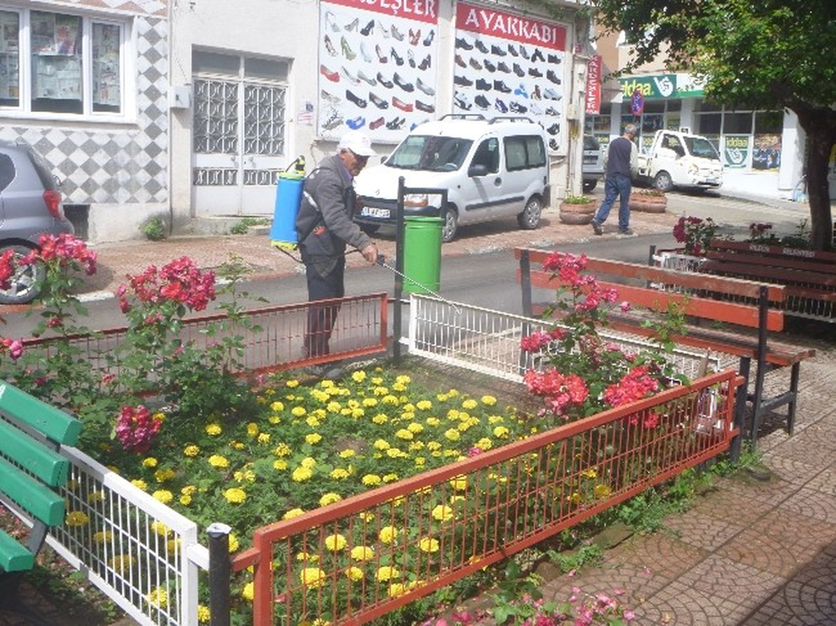 Belediyeden Çiçeklere Yaz İlaçlaması