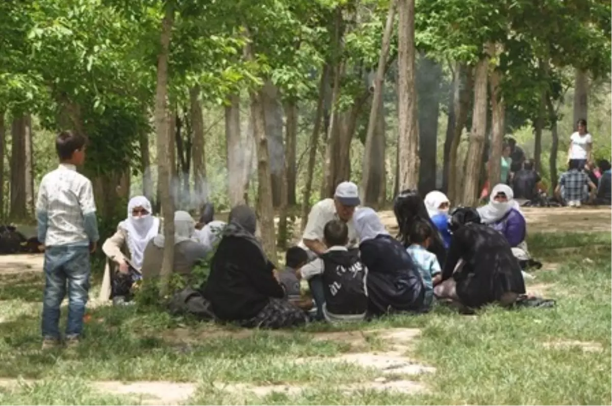 Çaldıran Kaymakamlığı Tarafından Engelli Aileler İçin Piknik Düzenlendi