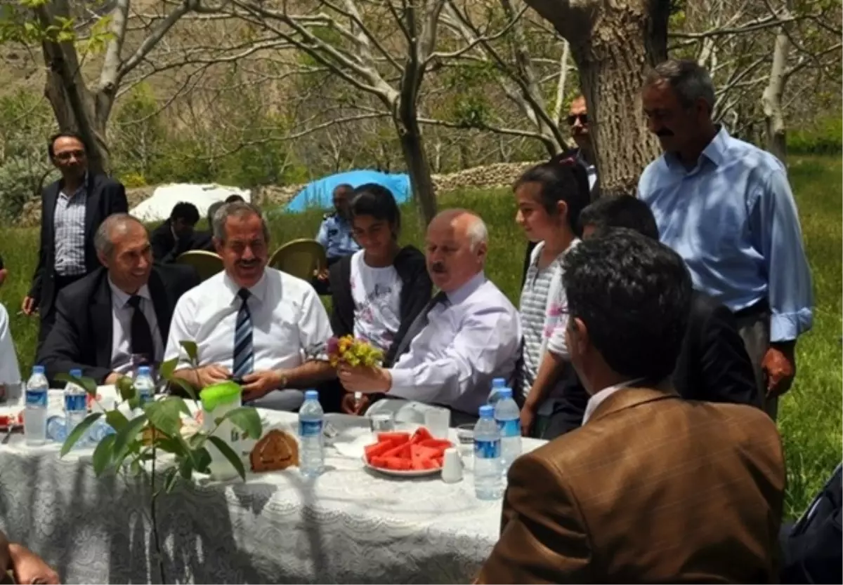 İlk Aşılı Ceviz Fidanı Yetiştirme Serası Kuruldu