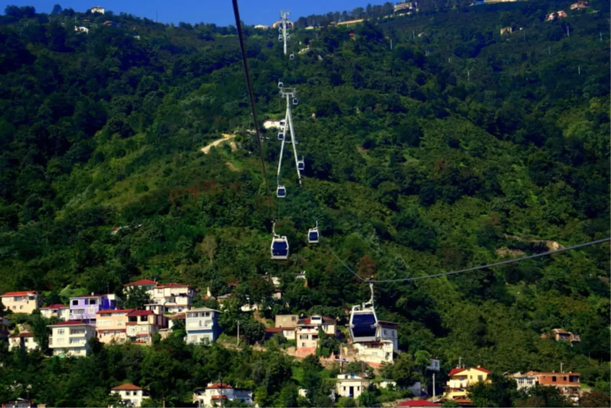 Yeşil Ordu, Yeşilleniyor