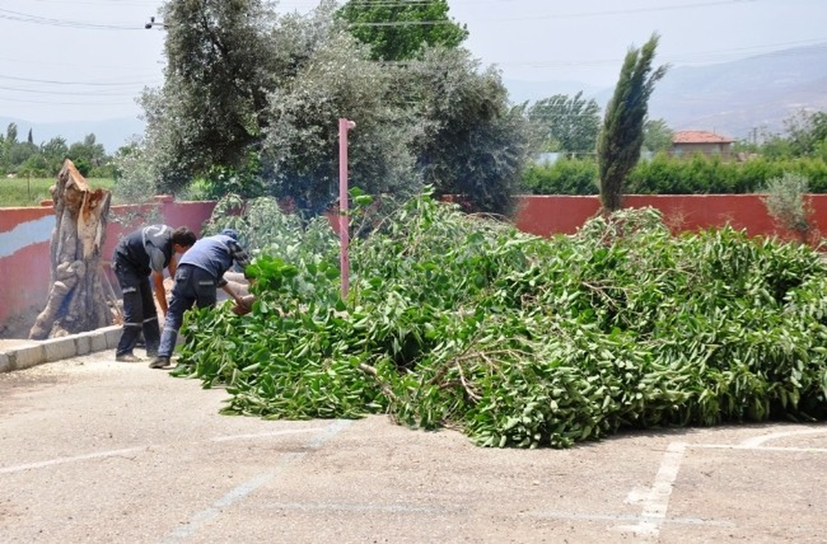 Ödemiş\'te Fırtına Ağaçları Devirdi