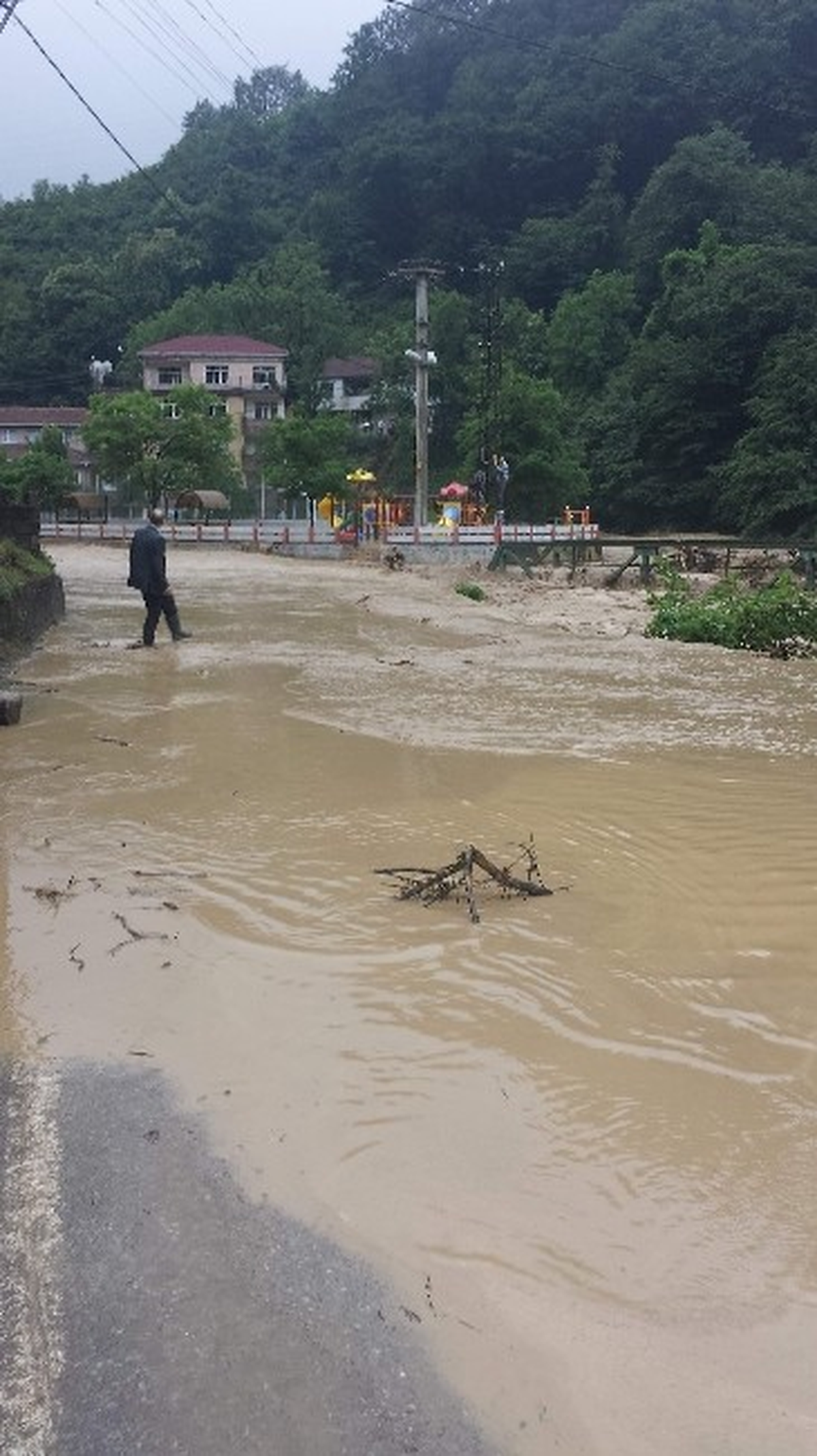 Sel Korkusundan Elektrik Direklerine Çıktılar