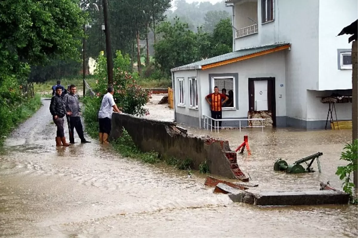 Tekkeköy Sele Teslim