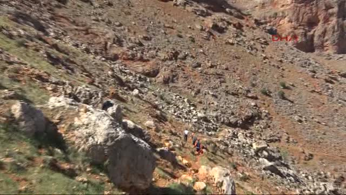 Uçurumda Mahsur Kalan Koyunları AFAD Kurtardı