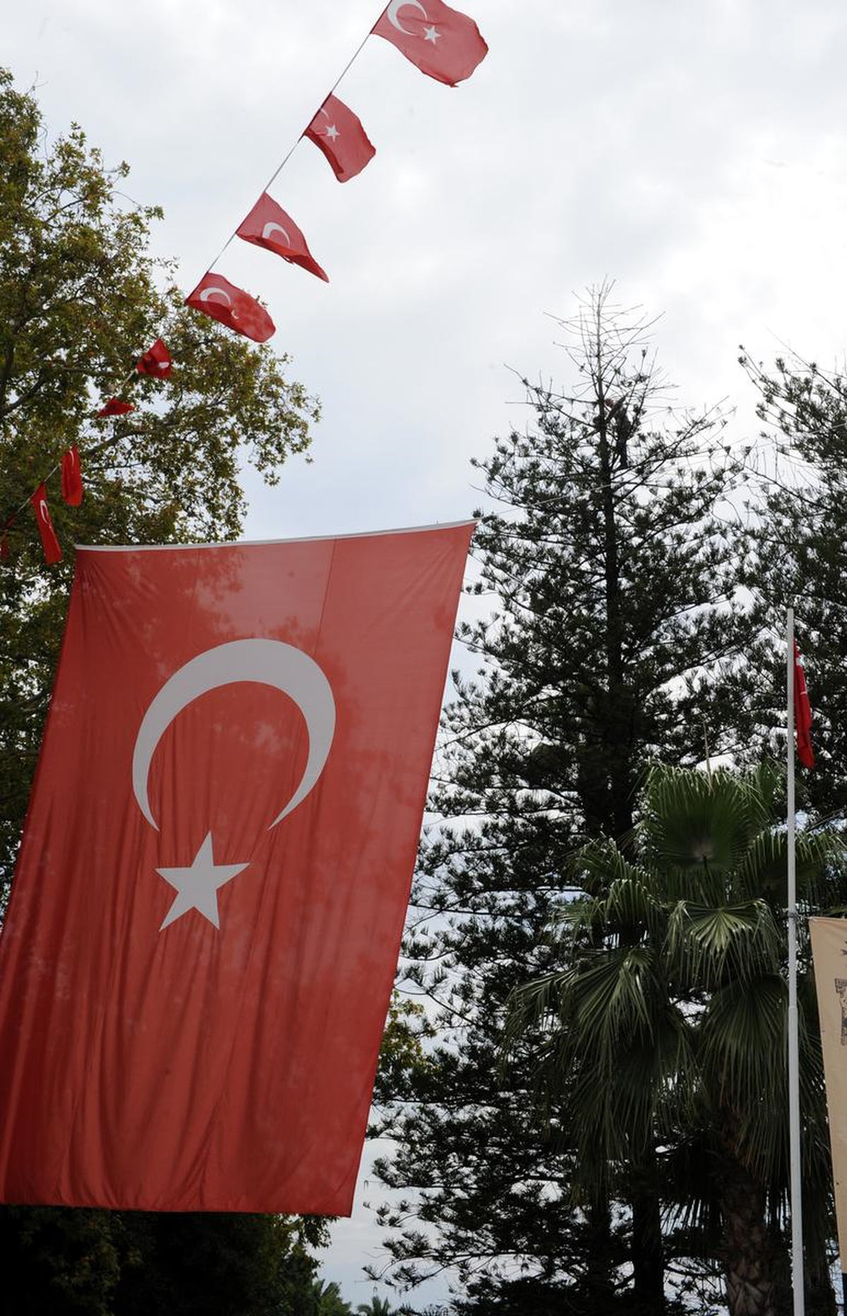 Çantalarına El Konulmasına Kızan İşportacı Ağaca Çıktı
