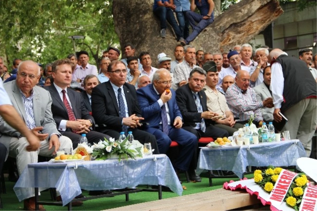 Mut Kayısı Festivali Törenle Başladı