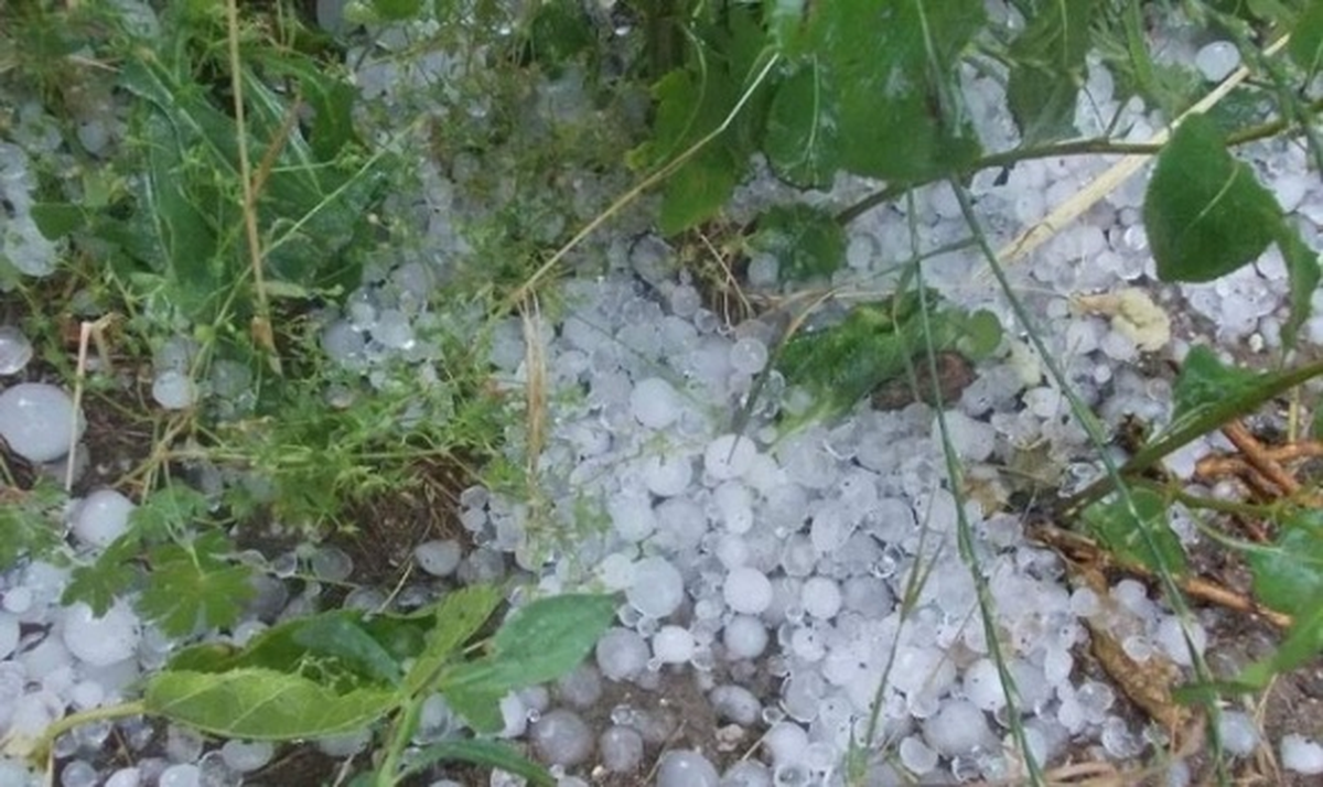 Simav\'da Hasar Tespiti Tamamlandı