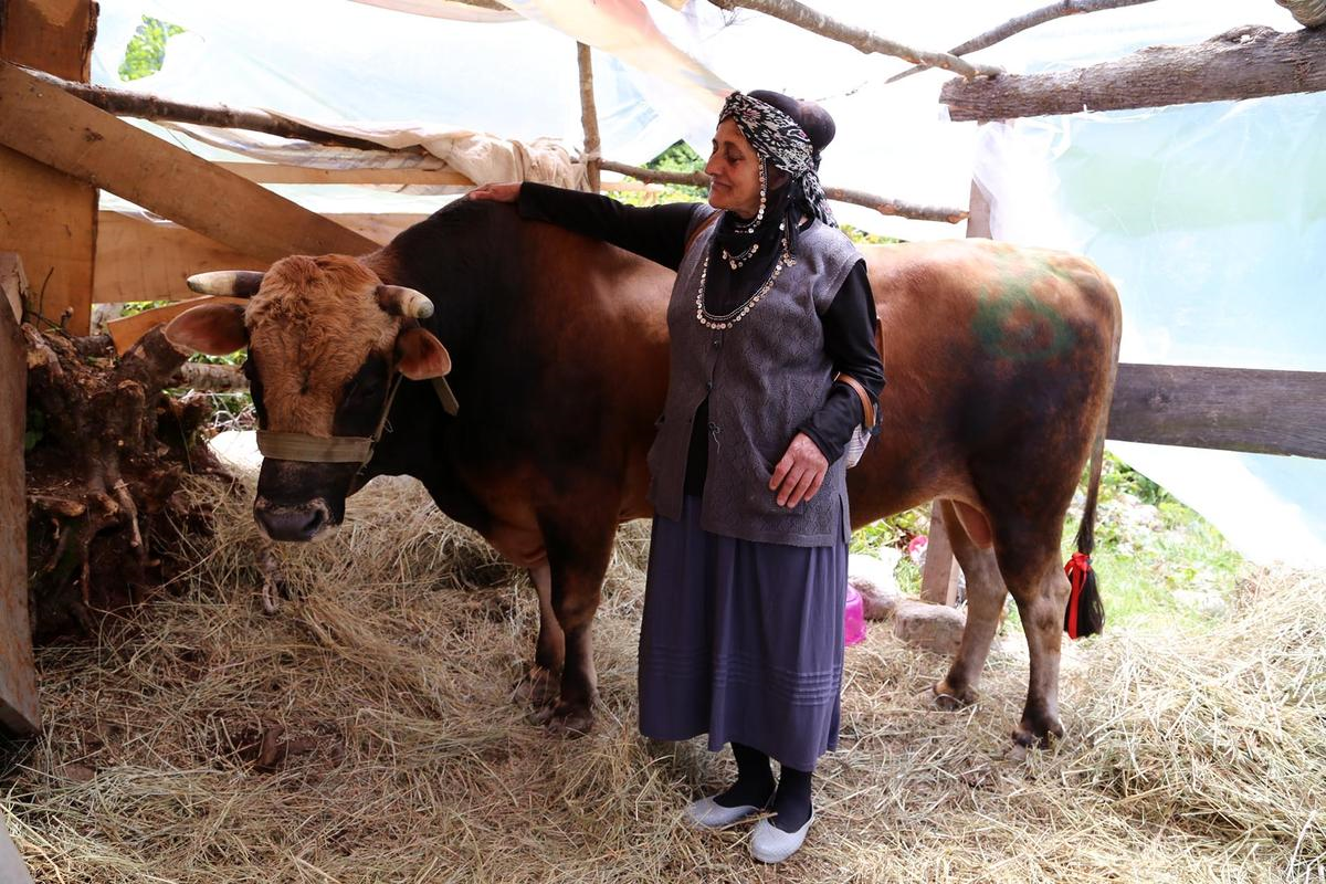 20. Çamlıhemşin Ayder Kültür Sanat ve Doğa Festivali