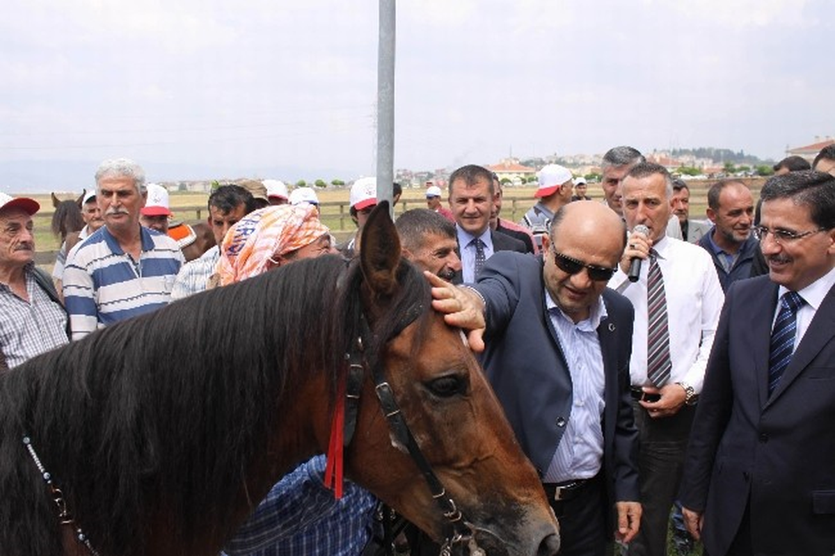 Bakan Fikri Işık\'a Yarış Atı Hediye Edildi