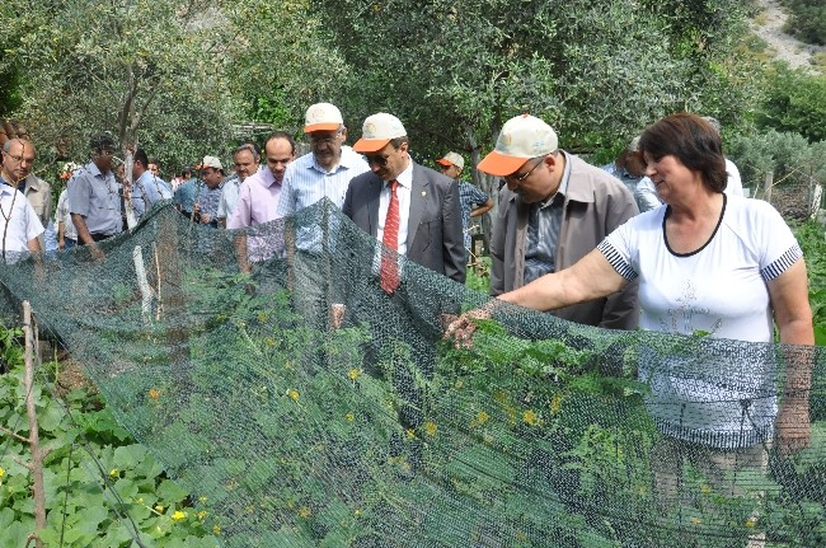 Muğla\'ya Organik Köy Kuruldu