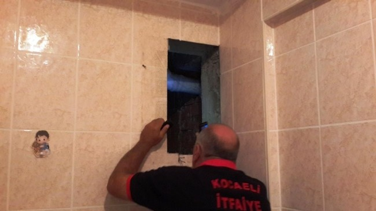 Mahsur Kalan Kargaları İtfaiye Ekipleri Kurtardı