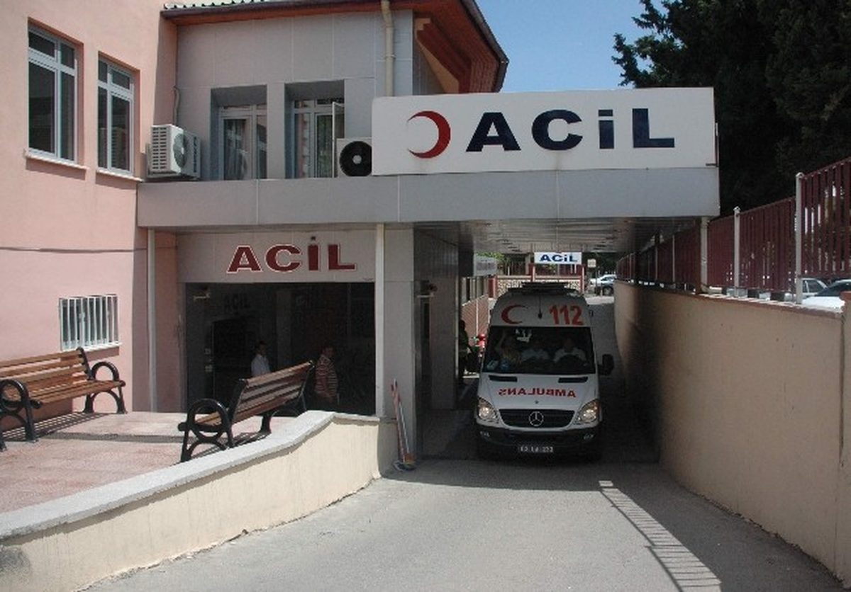 Motosiklet Yola Çıkan Domuza Çarptı: 1 Yaralı