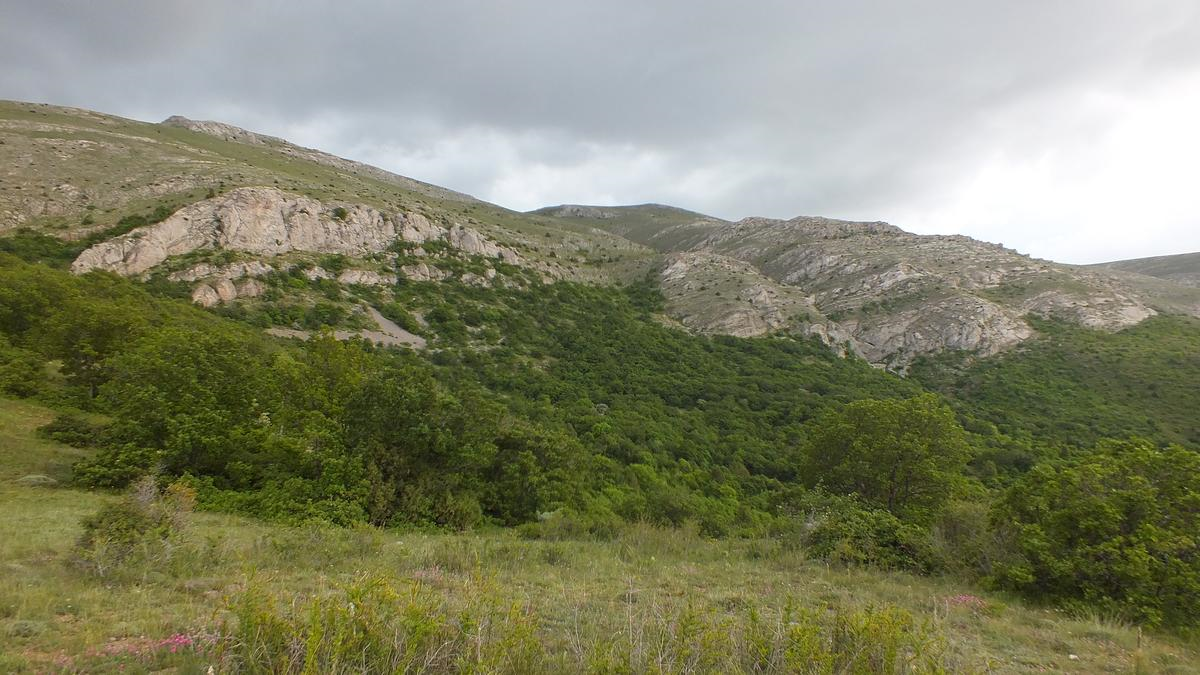 Tecer Dağı, Piknikçilerin Uğrak Yeri Oldu