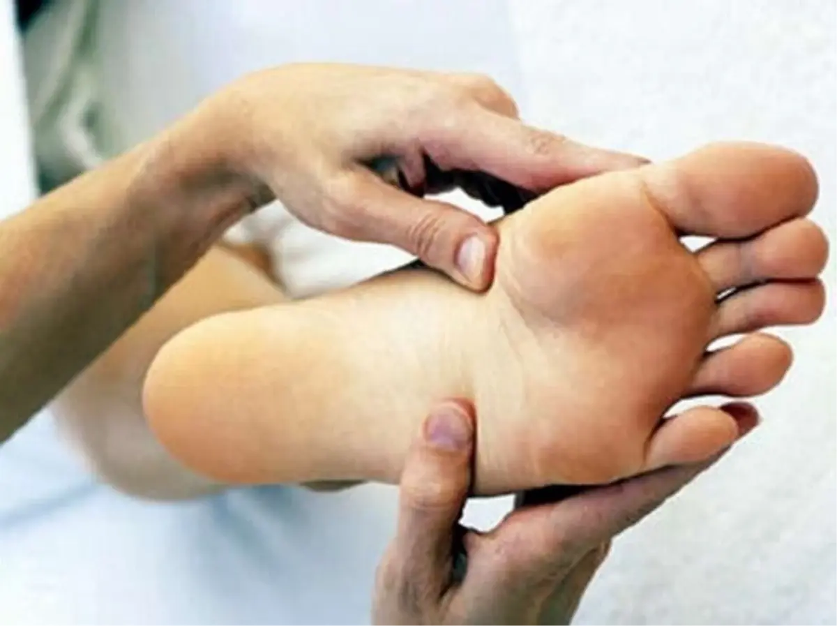 Yazın Serin Geçtiği Doğu\'da Ayak Mantarı Daha Yaygın