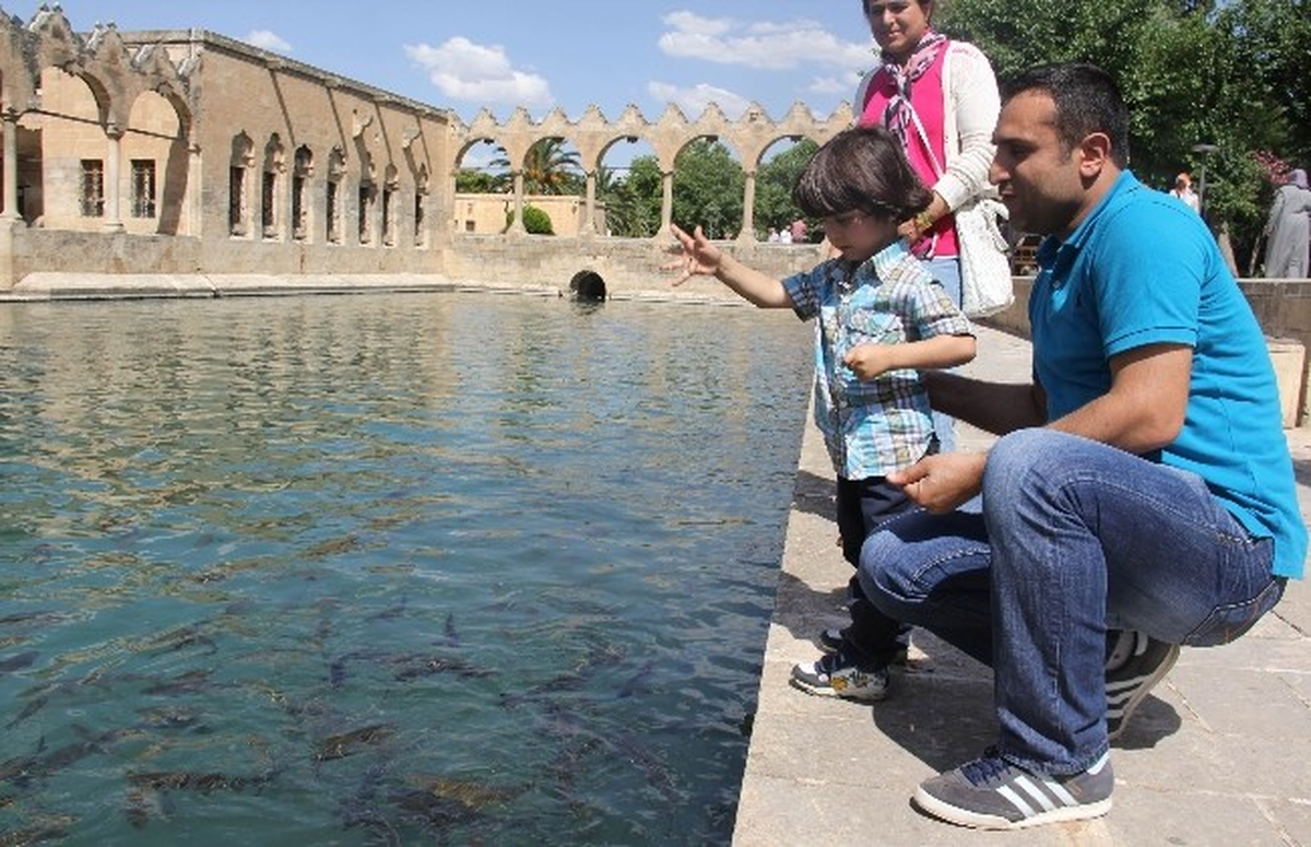 Balıklıgöl\'deki Balıkların Diyeti Sona Erdi