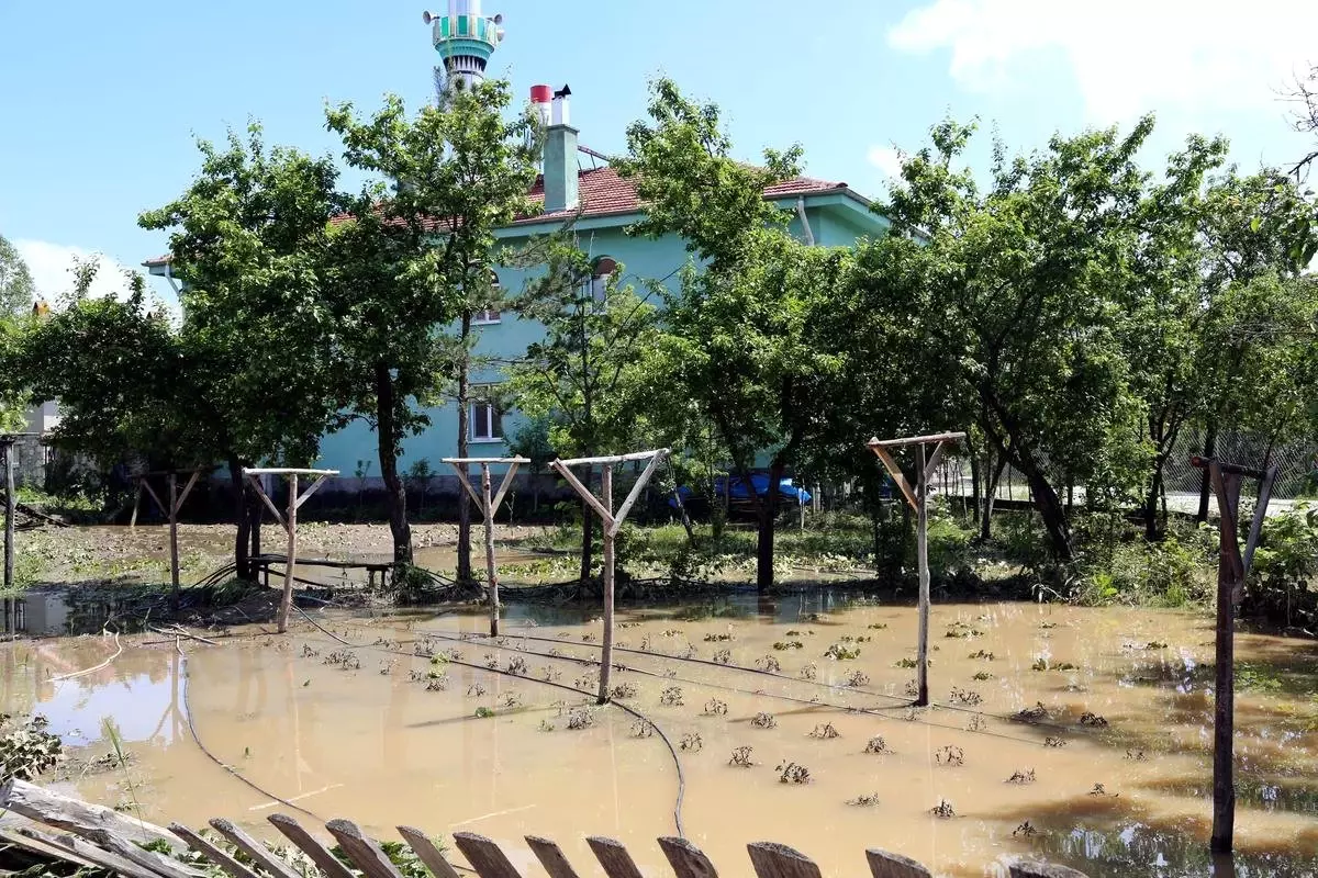 Selden Sonra Hasar Tespit Çalışları