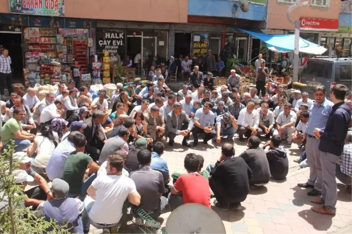 Iğdır\'da Lice Olayları Protesto Edildi