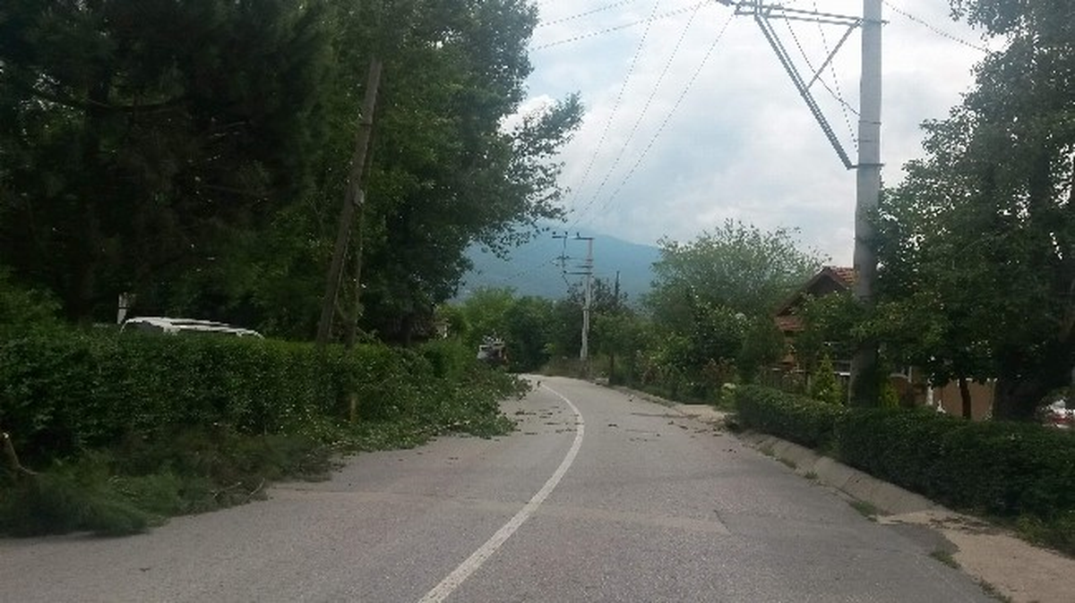Kartepe\'de Budama Çalışmaları Başladı
