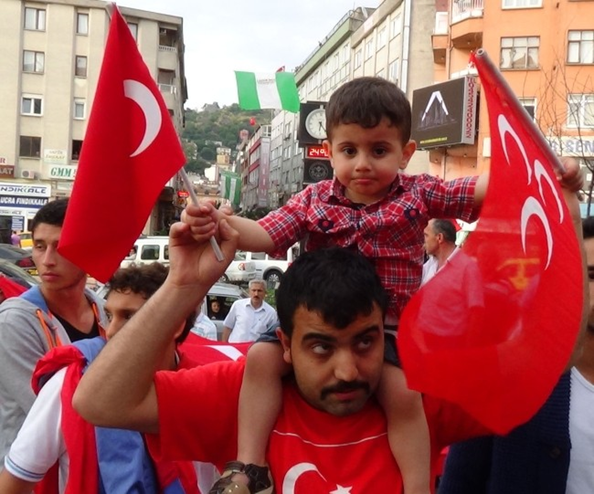 Lice\'de İndirilen Türk Bayrağına Tepki