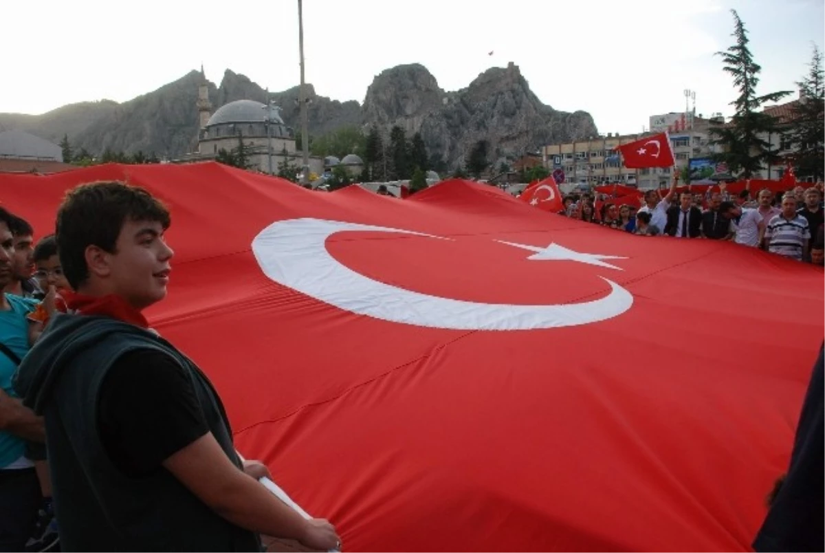 Lice\'de Türk Bayrağının İndirilmesine Tepki Yürüyüşü