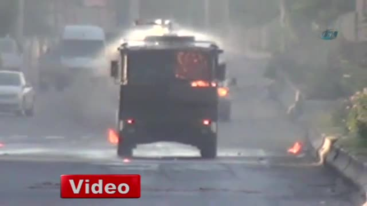 Toma Alevler Arasında Kaldı