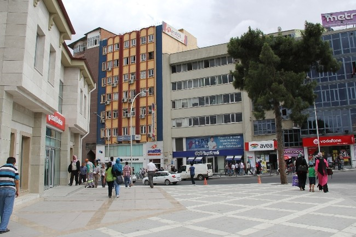 Yol Çalışması Asırlık Ağaca Takıldı