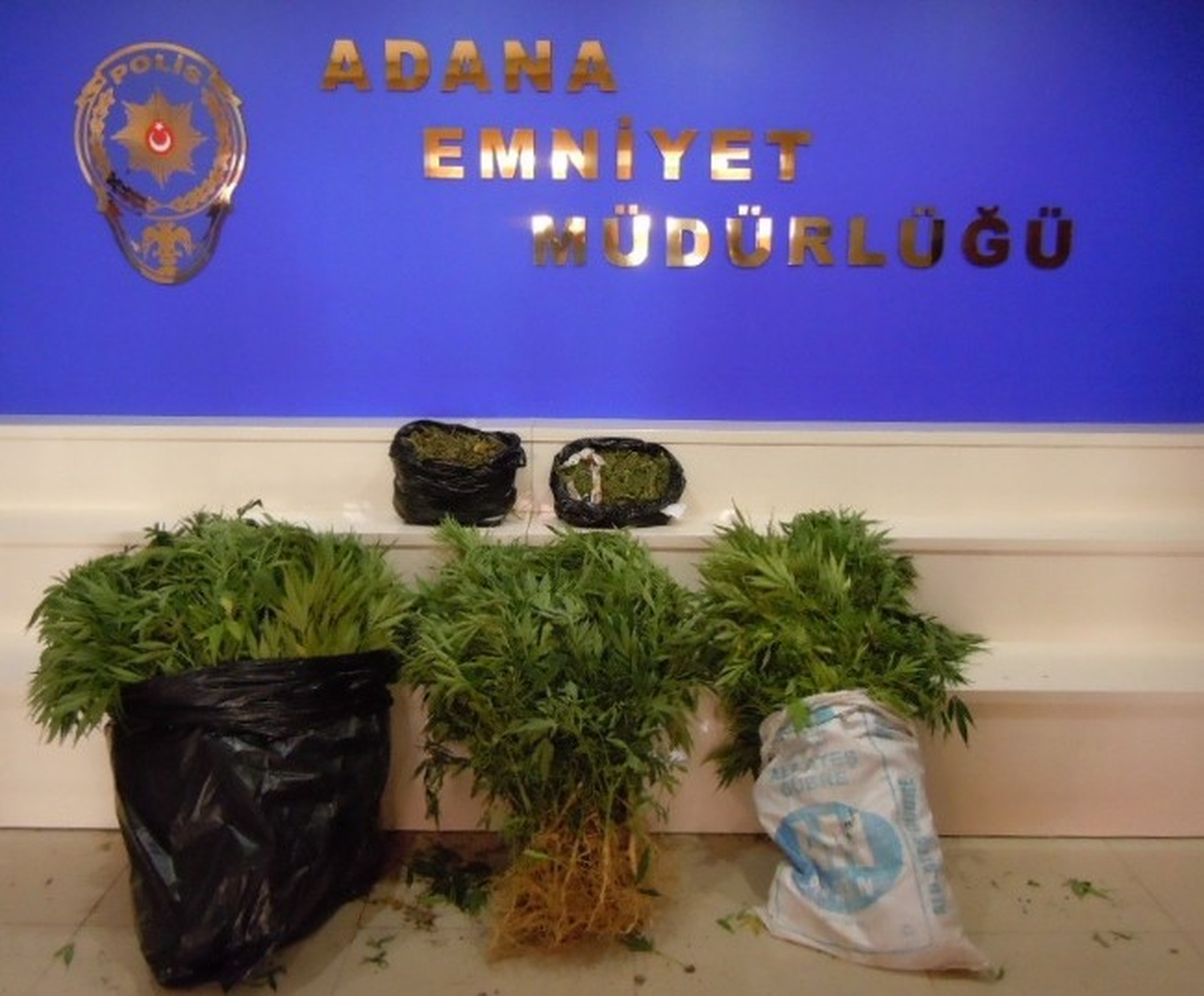 Adana\'daki Uyuşturucu Operasyonlarında 13 Kişi Tutuklandı