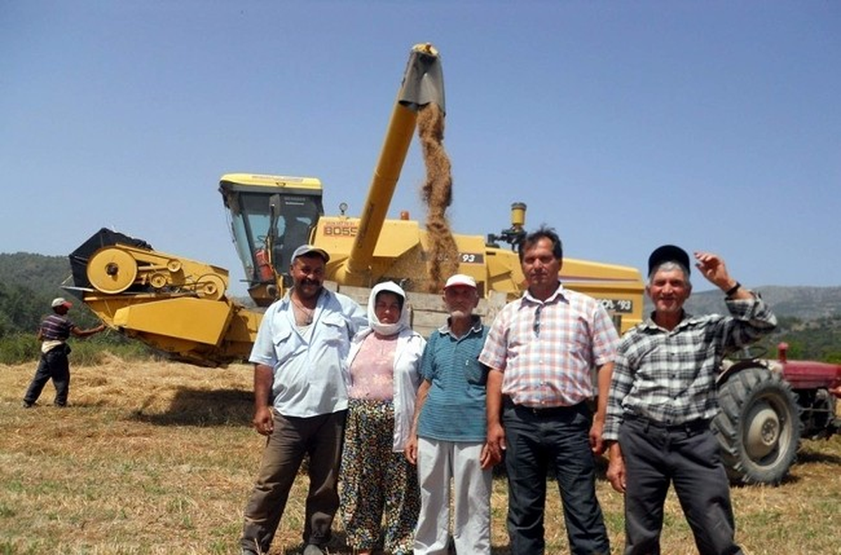 Dalaman\'da Biçerdöver Kontrolleri Başladı