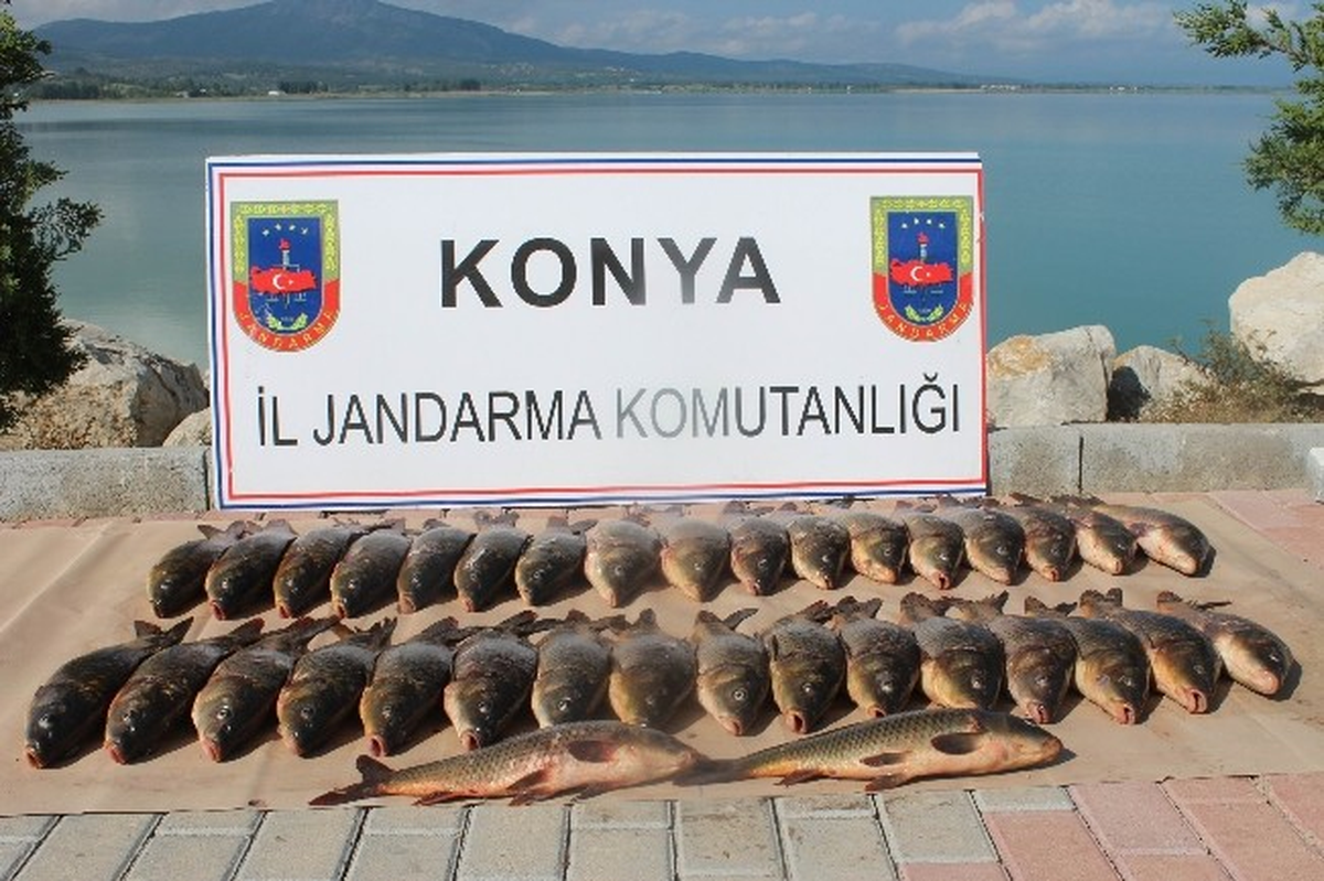 Beyşehir\'de Kaçak Balık Avlayan Şahıs Yakalandı