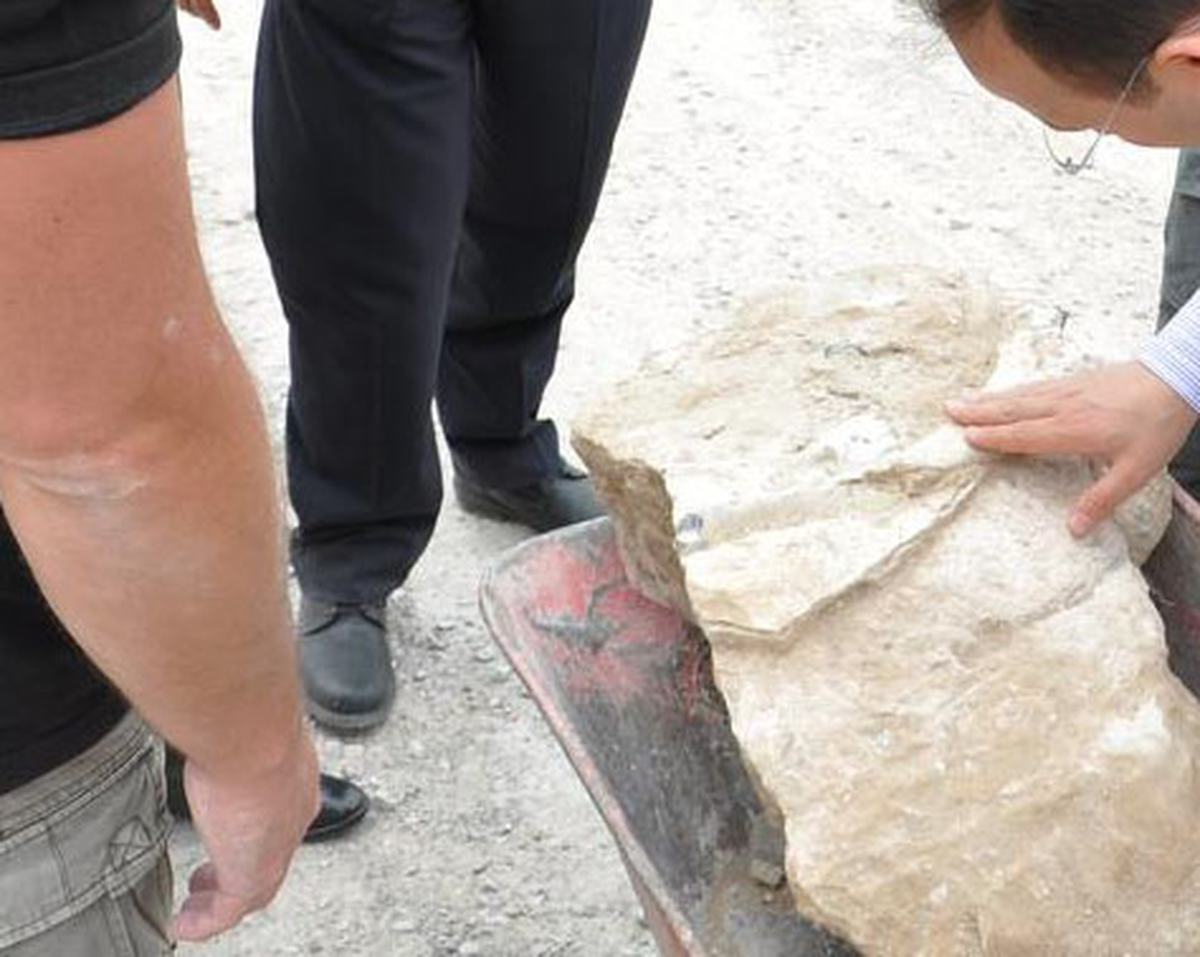 Fosil Arama Çalışmaları Yeniden Başladı