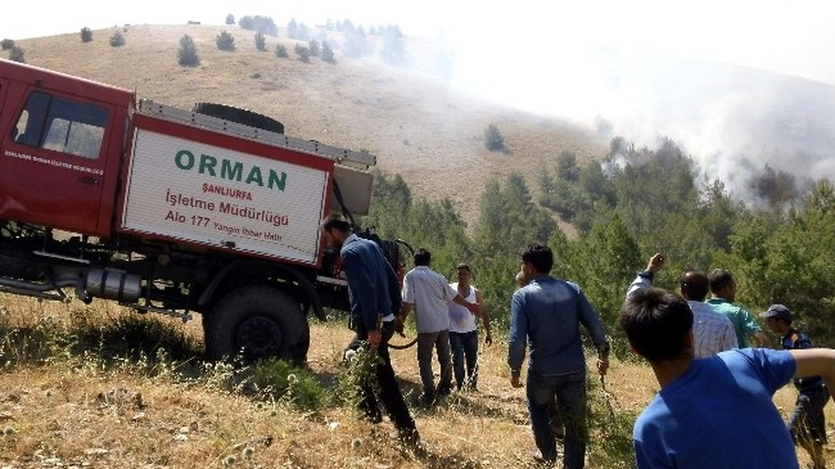 Şanlıurfa\'da Orman Yangını